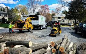 Best Weed Control  in Ogdensburg, NJ
