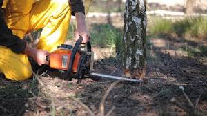 Best Lawn Irrigation Installation and Maintenance  in Ogdensburg, NJ