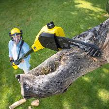 Best Soil Testing and Treatment  in Ogdensburg, NJ