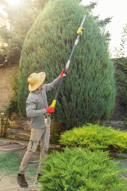 Best Arborist Consultation Services  in Ogdensburg, NJ